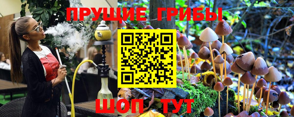 Псилоцибиновые грибы Magic Shrooms Приморско-Ахтарск