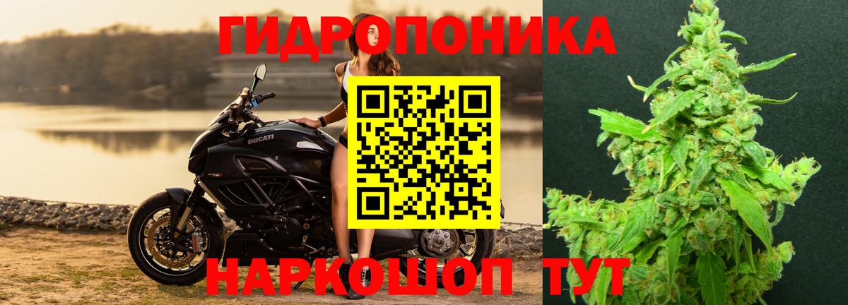 Приморско-Ахтарск  Канабис ГИДРОПОН  Канабис THC 21%  Вход с VPN  Бошки марихуана семена 